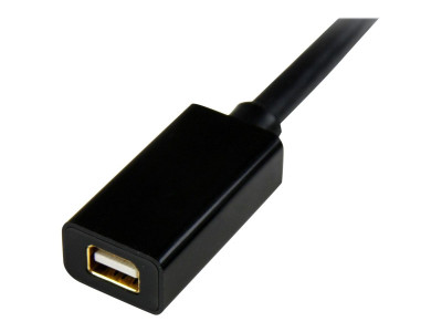 Startech : EXTENSION cable - M pour 3 FT MINI DISPLAYPORT VIDEO