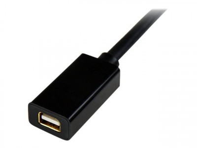 Startech : EXTENSION cable - M pour 3 FT MINI DISPLAYPORT VIDEO