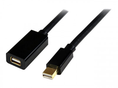 Startech : EXTENSION cable - M pour 6 FT MINI DISPLAYPORT VIDEO