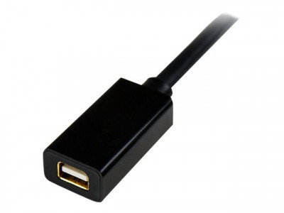 Startech : EXTENSION cable - M pour 6 FT MINI DISPLAYPORT VIDEO