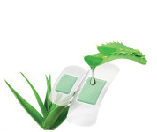 Lifemed Pansements  Lifemed Pansements