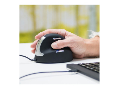 R-Go Tools HE Mouse, Souris ergonomique droitier filaire Moyen