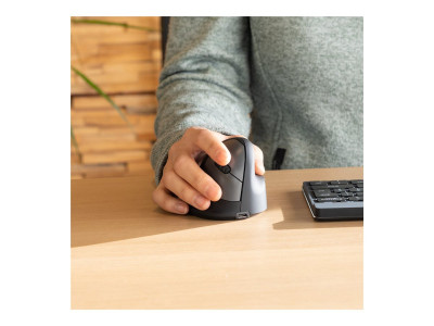 R-Go Souris ergonomique HE Break pour droitiers Bluetooth