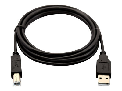 V7 : 2.0 USB A TO USB B 2M 6.6FT 6FT printer cable TYPE B