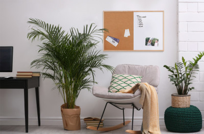 Bi-Office Tableau mixte, cadre en bois, (L)400 x (H)300 mm