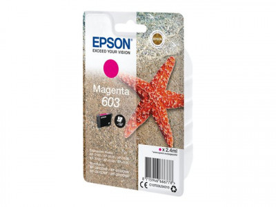 Epson : SINGLEpack MAGENTA 603 encre