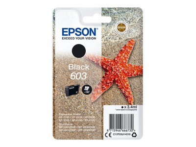 Epson : SINGLEpack BLACK 603 encre