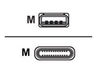 Cisco : USB C - USB A cable 4 Metres