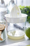 GastroMax Presse-agrumes, transparent/blanc GastroMax Presse-agrumes, transparent/blanc