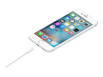 Apple : LIGHTNING TO USB cable (1 M)