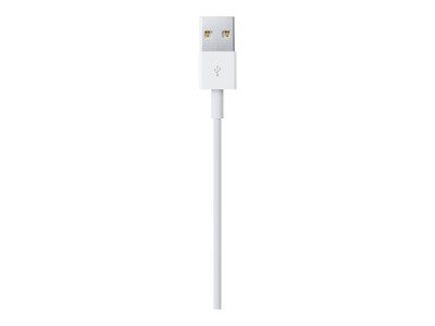 Apple : LIGHTNING TO USB cable (1 M)