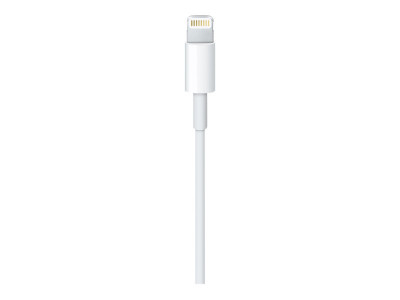 Apple : LIGHTNING TO USB cable (1 M)