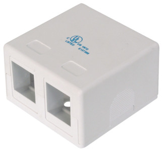 DIGITUS Leergehäuse für 2 Keystone-Module, reinweiß