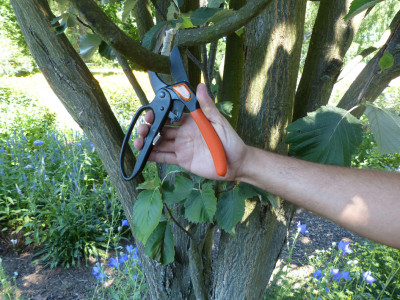 Garten PRIMUS Sécateur à crémaillère, fermeture à une main