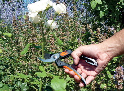 Garten PRIMUS Sécateur de jardin pour hommes
