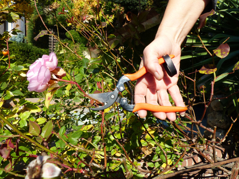 Garten PRIMUS Sécateur de jardin 