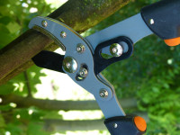 Garten PRIMUS Coupe-branches pour dames, longueur : 470 mm