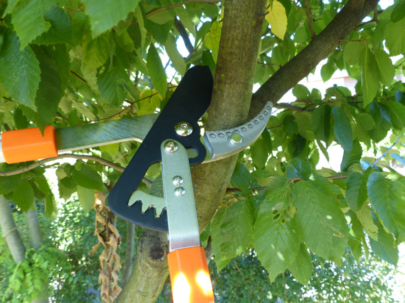 Garten PRIMUS Coupe-branches Power à engrenage