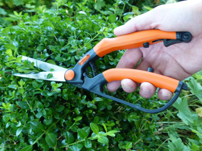 Garten PRIMUS Cisaille à haie, petit, longueur : 260 mm