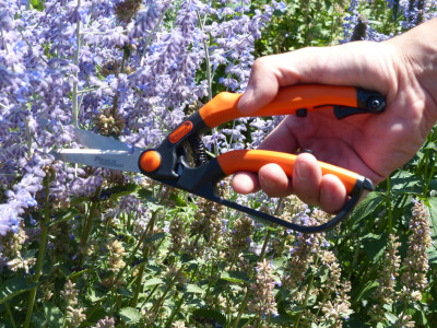 Garten PRIMUS Cisaille à haie, petit, longueur : 260 mm