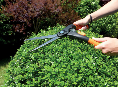 Garten PRIMUS Cisaille à haie, grand, longueur: 435 mm