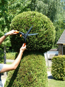 Garten PRIMUS Cisaille à haie, grand, longueur: 435 mm