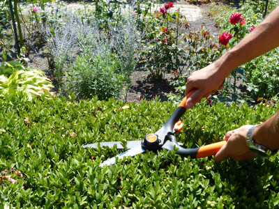 Garten PRIMUS Cisaille à haie, grand, longueur: 435 mm