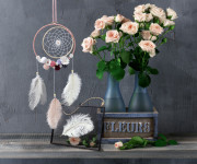 folia Plumes d'autruche, longueur : env. 170 mm, assorti