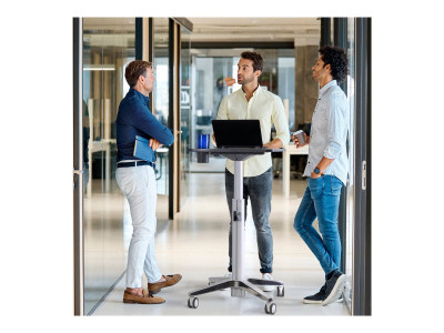 Ergotron : LEARNFIT 16IN TRAVEL ADJUSTBLE STANDING DESK CLEAR ANODIZED