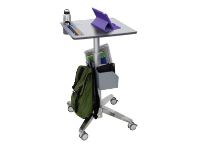Ergotron : LEARNFIT 16IN TRAVEL ADJUSTBLE STANDING DESK CLEAR ANODIZED