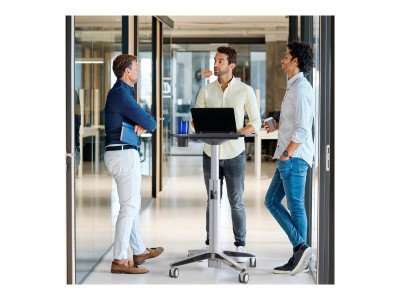 Ergotron : LEARNFIT 16IN TRAVEL ADJUSTBLE STANDING DESK CLEAR ANODIZED