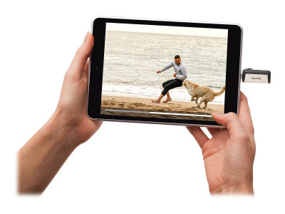 SANDISK : SANDISK ULTRA DUAL drive USB TYPE-CTM FLASH drive 256GB