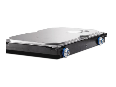 HP : HP 1TB SATA 6GBPS HARD drive (SINGLE UNIT)