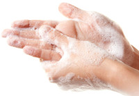 TORK Flüssigseife, mild, 475 ml