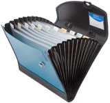 RAPESCO Fächertasche Designer, DIN A4+, 13 Fächer, metallic- RAPESCO Fächertasche Designer, DIN A4+, 13 Fächer, metallic-