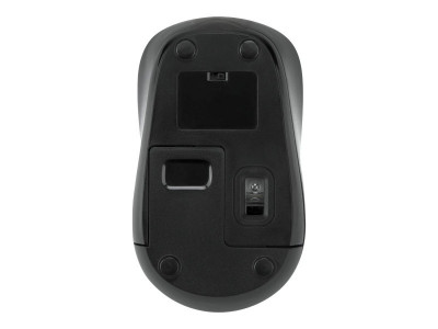 Targus : WIRELESS laser MOUSE BLACK/GREY