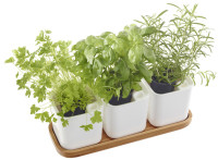 orthex Pot à herbes aromatiques EDEN, set de 3, blanc orthex Pot à herbes aromatiques EDEN, set de 3, blanc