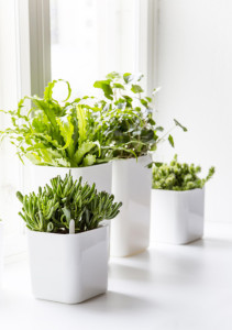 orthex Cache-pot EDEN, largeur : 160 mm, blanc
