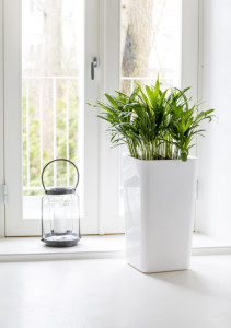 orthex Cache-pot EDEN, largeur : 160 mm, blanc