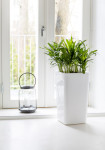 orthex Cache-pot EDEN, largeur : 200 mm, blanc orthex Cache-pot EDEN, largeur : 200 mm, blanc