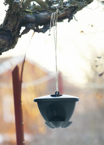 orthex Mangeoire pour oiseaux BIRDIE, noir