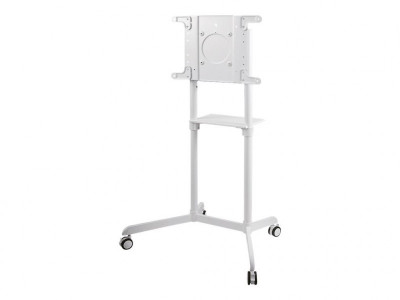 NewStar : NEWSTAR MOBILE FLAT SCREENFLOOR STAND HEIGHT 160CM WHT 37-70IN
