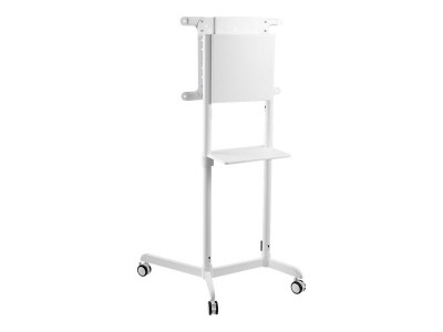 NewStar : NEWSTAR MOBILE FLAT SCREENFLOOR STAND HEIGHT 160CM WHT 37-70IN