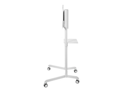 NewStar : NEWSTAR MOBILE FLAT SCREENFLOOR STAND HEIGHT 160CM WHT 37-70IN