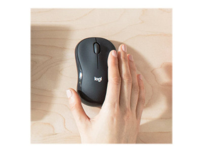 Logitech : MK295 SILENT WIRELESS COMBO GRAPHITE FRA CENTRAL fr