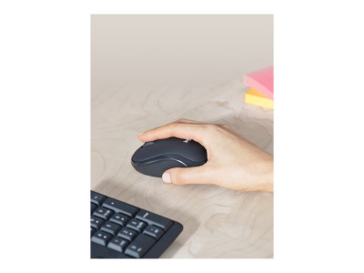 Logitech : MK295 SILENT WIRELESS COMBO GRAPHITE FRA CENTRAL fr