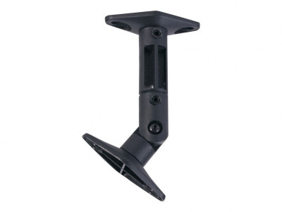NewStar : SPEAKER WALL ! CEILING MOUNT BL TWO SPEAKERS