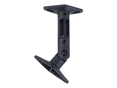 NewStar : SPEAKER WALL ! CEILING MOUNT BL TWO SPEAKERS