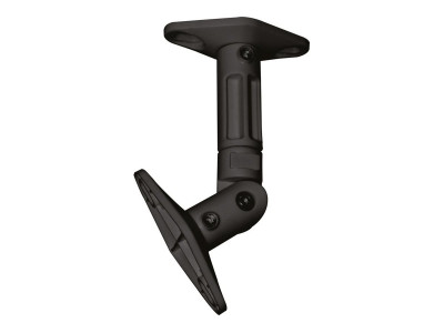 NewStar : SPEAKER WALL ! CEILING MOUNT BL TWO SPEAKERS