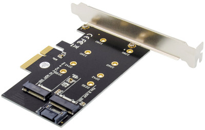 DIGITUS Carte Add-On M.2 NGFF/NVMe SSD PCI Express 3.0 (x4)